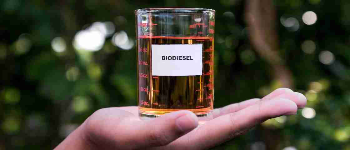 Shell ExpertConnect, Bicara Biodiesel Sekarang dan di Masa Depan - OLX News