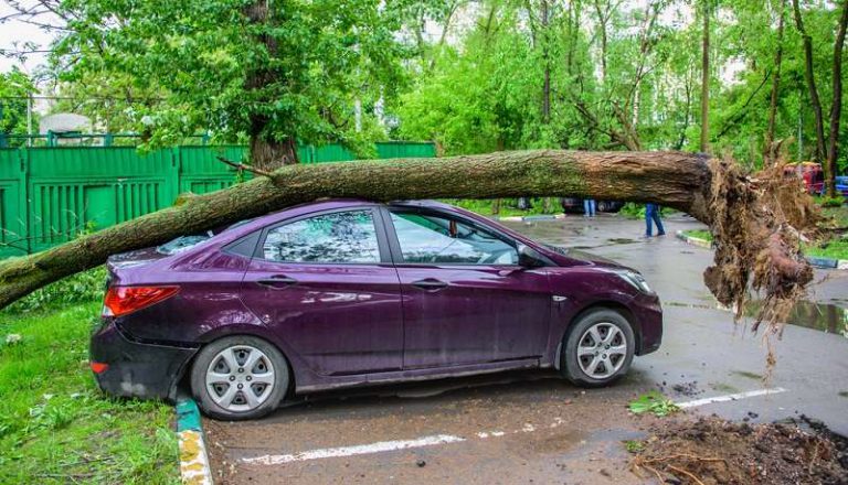 7 Tempat yang Harus Dihindari Untuk Parkir Saat Musim Hujan