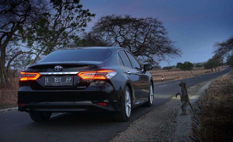 Populasi Mobil Hybrid Toyota Capai Angka 2.284 Unit