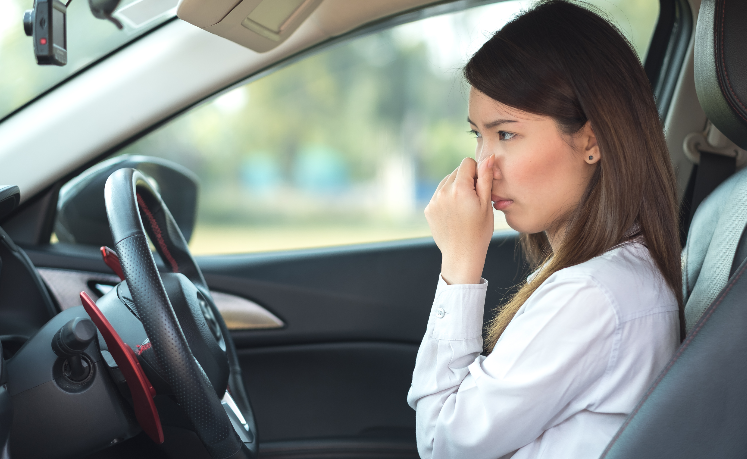 5 Bahan Alami Bisa Buat Kabin Mobil Terasa Segar