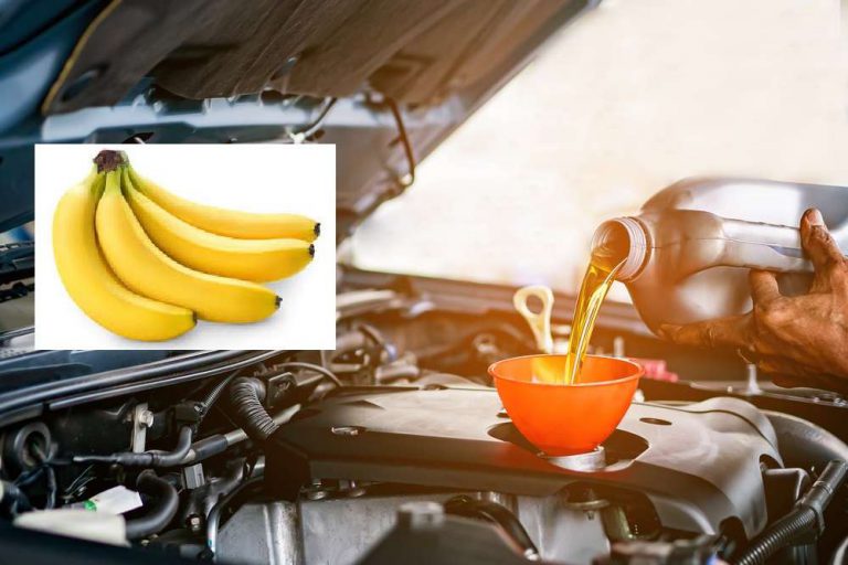 Pisang Bisa Jadi Pengganti Oli, Mitos atau Fakta?