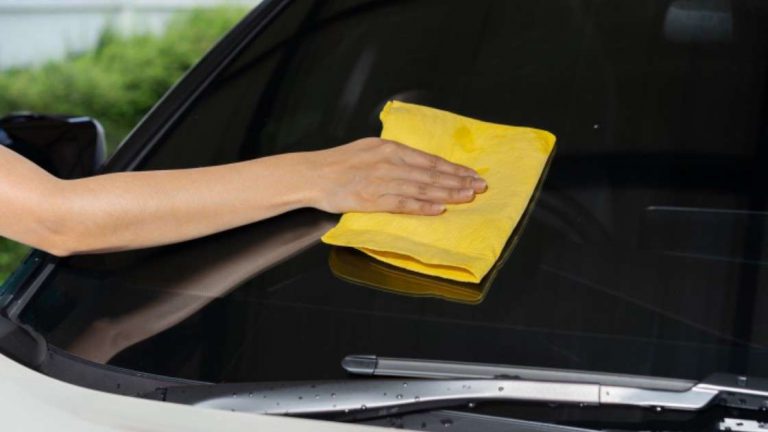 Jangan Pusing, Mudah Kok Hilangkan Jamur di Kaca Mobil