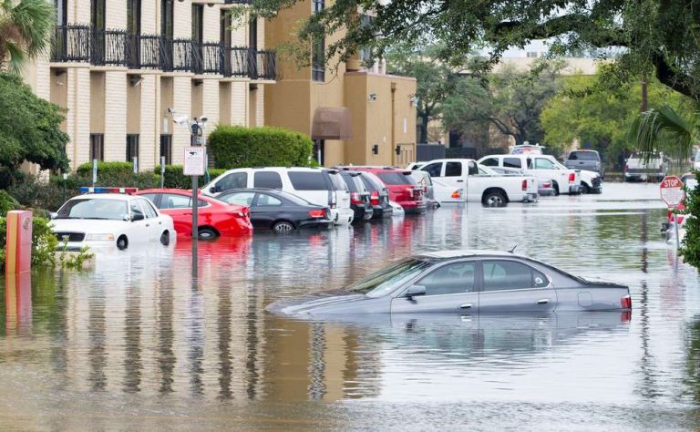 7 Cara Mengetahui Mobil Bekas Banjir