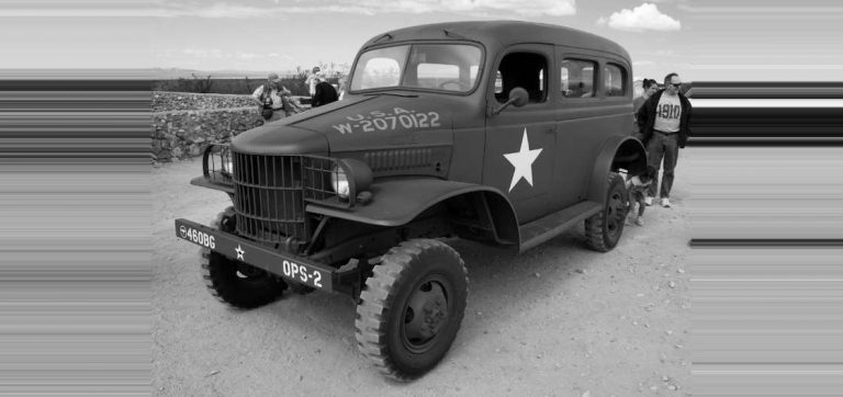 Inikah Model Crossover Pertama di Dunia?