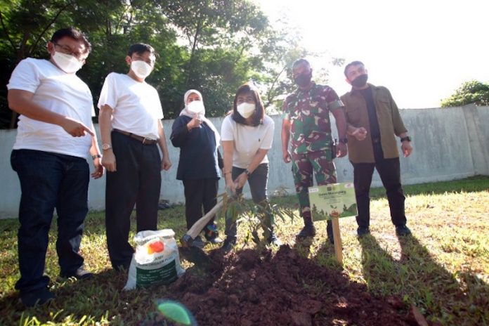 FIFGROUP Tanam Pohon