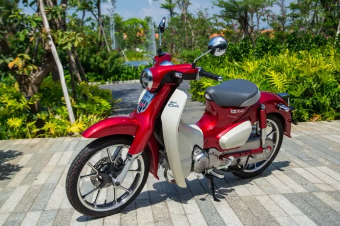 motor tua