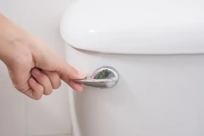 toilet