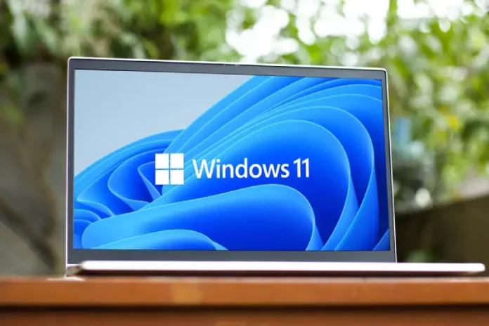 windows 1 (1)