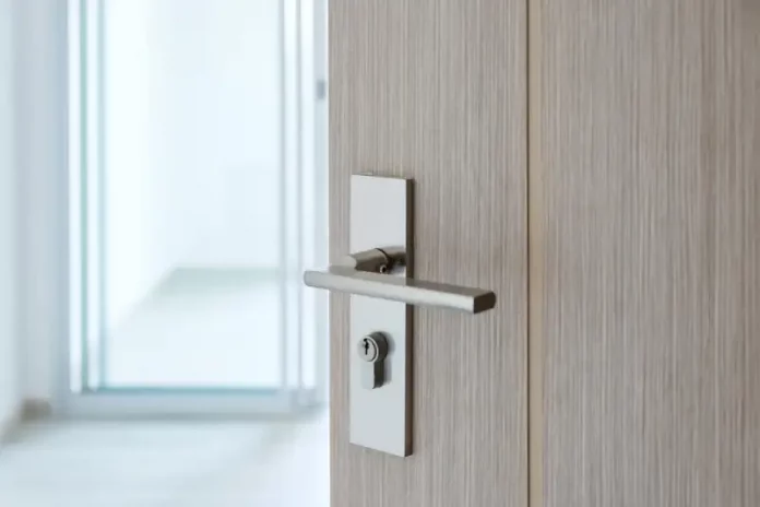 pintu