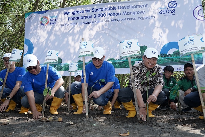 Asuransi Astra Tanam Bibit Mangrove di Jogjakarta