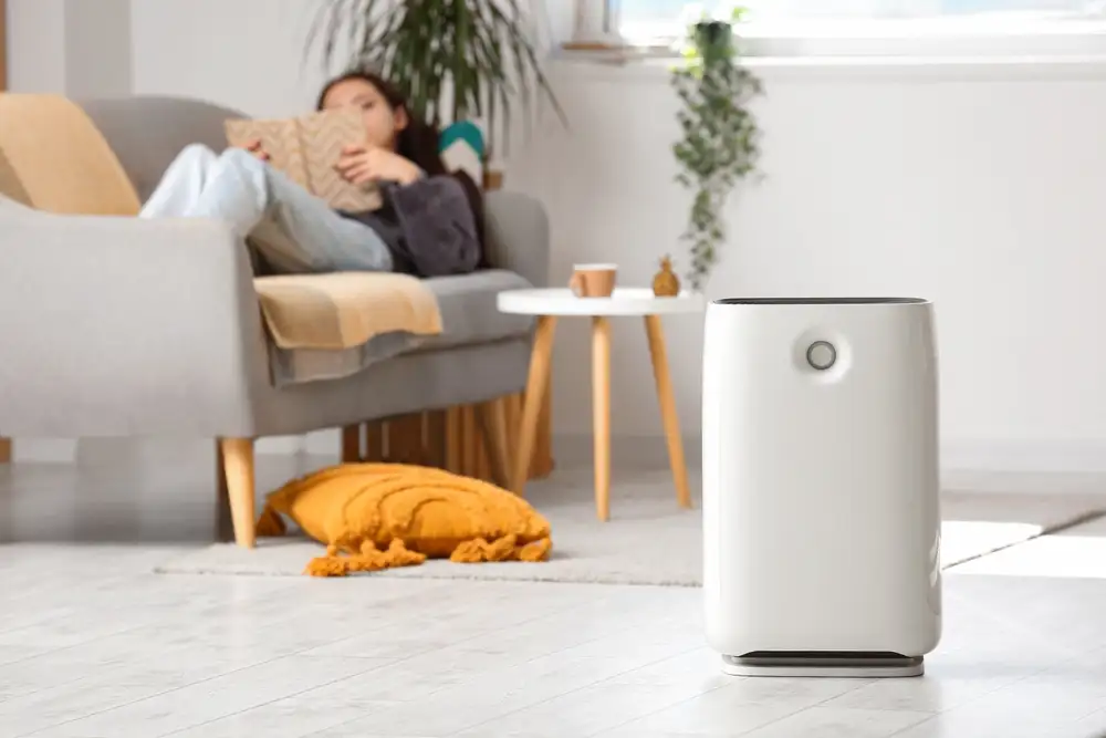 5 Merk Air Purifier Terbaik Tahun 2024 di Bawah 3 Juta - OLX News