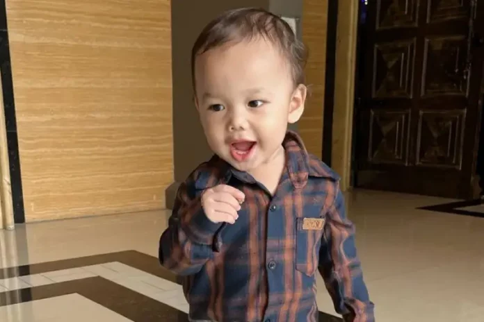 bayi jenius kenkulus
