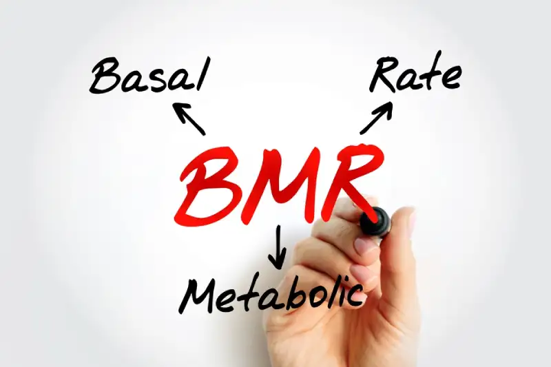 bmr adalah