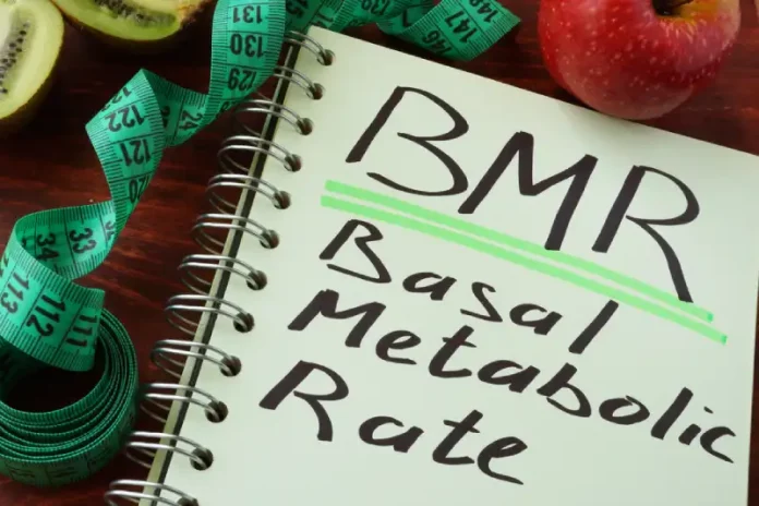 bmr adalah