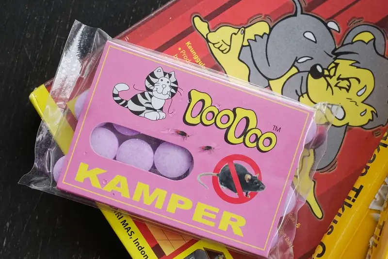 cara mengusir tikus