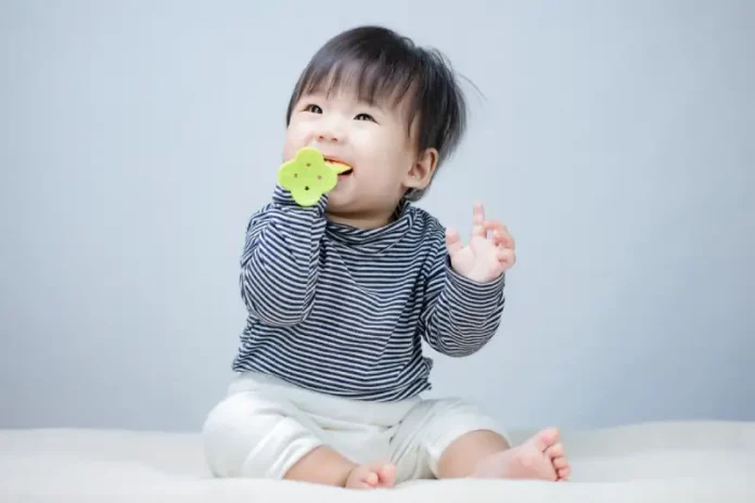 mainan gigitan bayi
