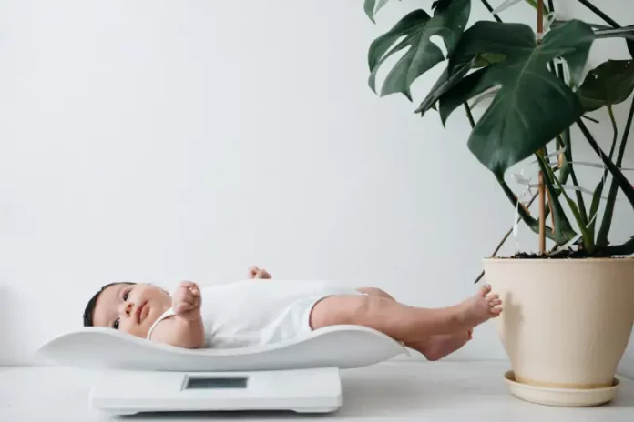 tabel berat badan bayi