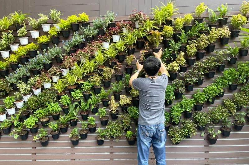 vertical garden