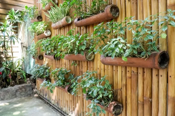 vertical garden