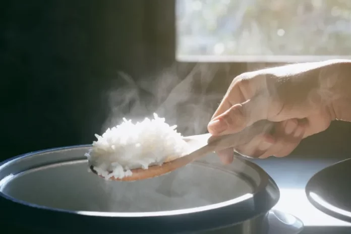 cara memasak nasi di rice cooker