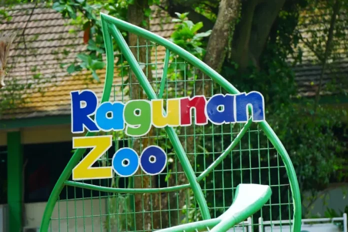 kebun binatang ragunan