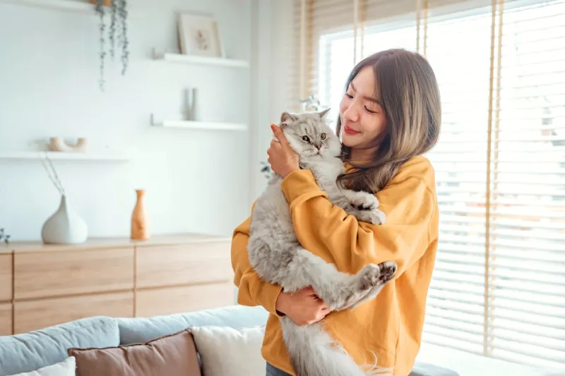 kenapa kucing tidak masuk surga
