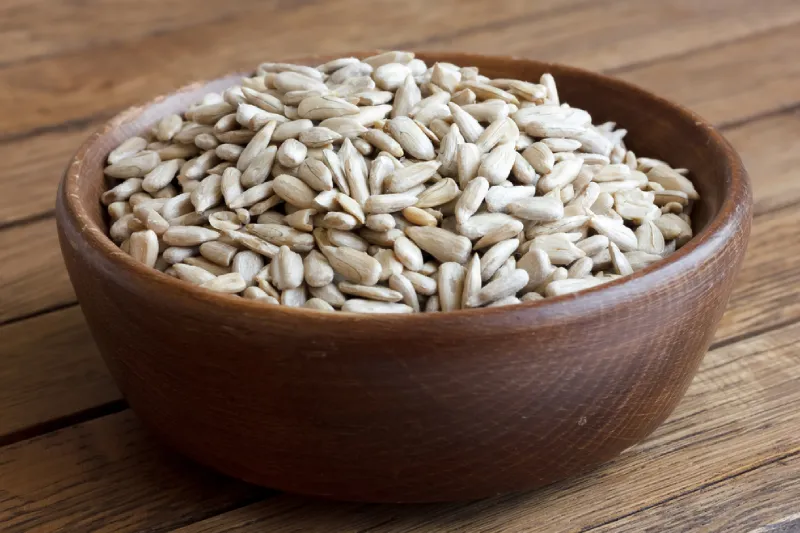 makanan burung lovebird