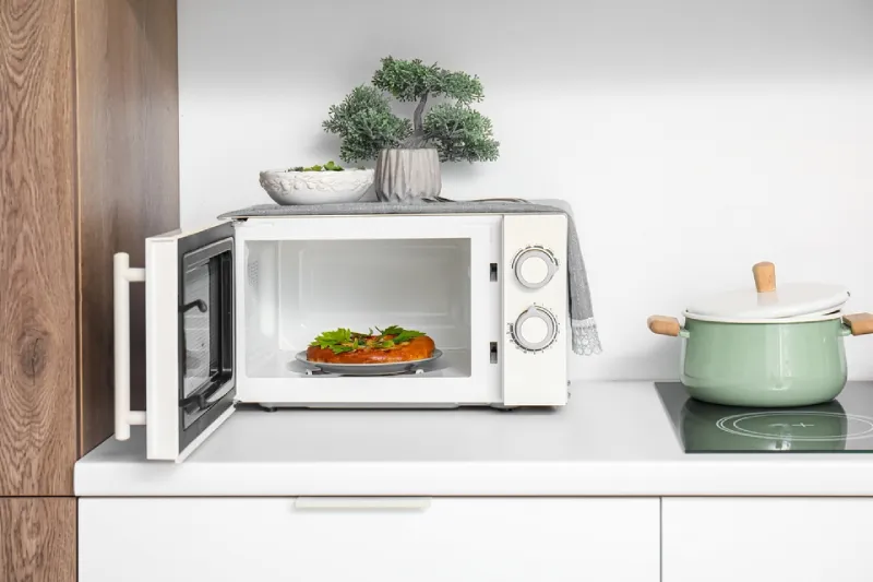 microwave adalah