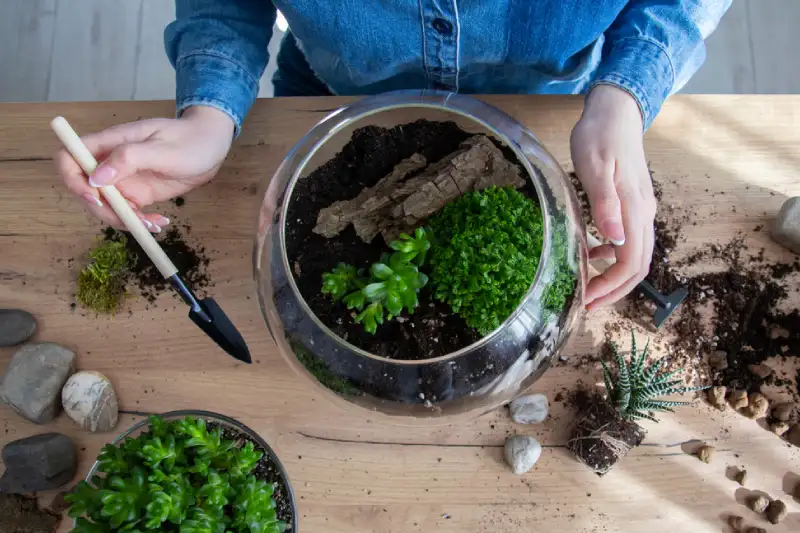 terrarium adalah