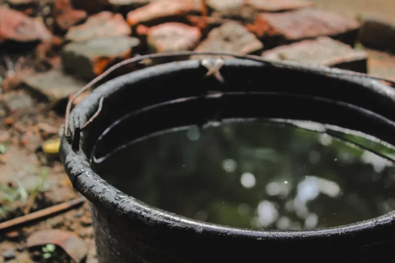 cara mengusir nyamuk di kamar 