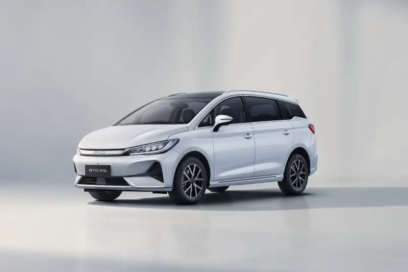 byd m6