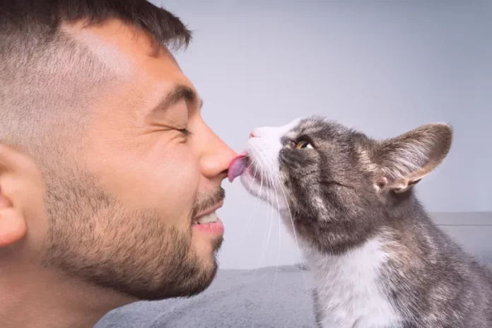 kenapa kucing suka menjilat