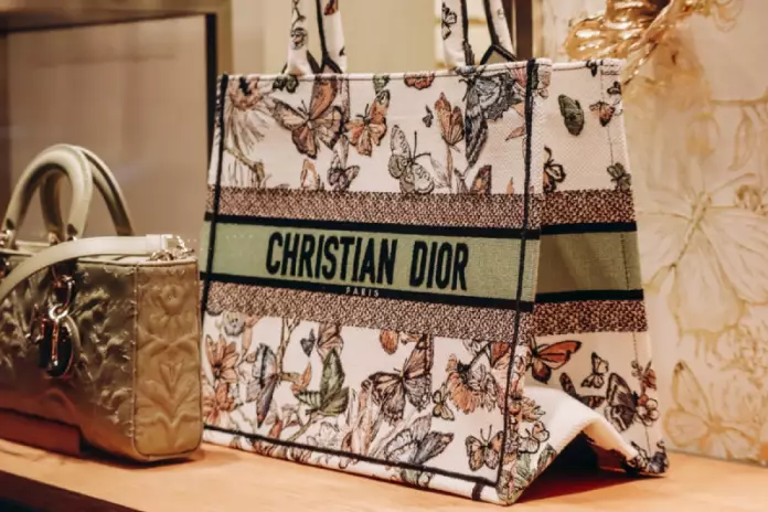 tas Dior