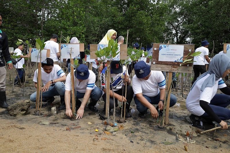 Garda Oto Tanam 3.000 Pohon Mangrove