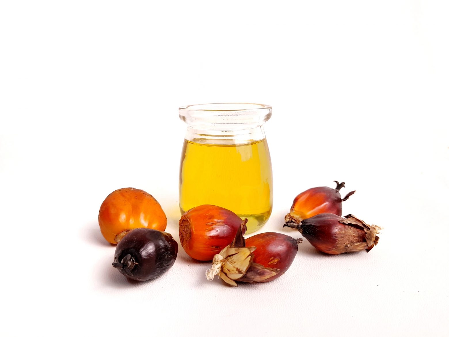 obat jamur kucing minyak kelapa