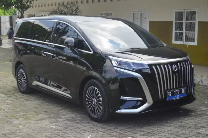 Denza D9