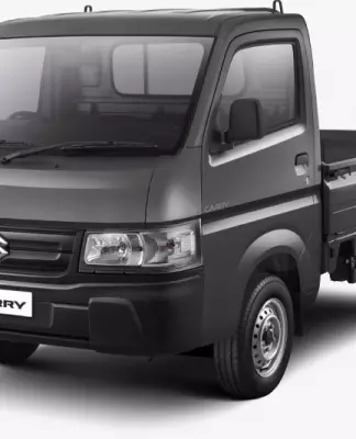 Suzuki Carry