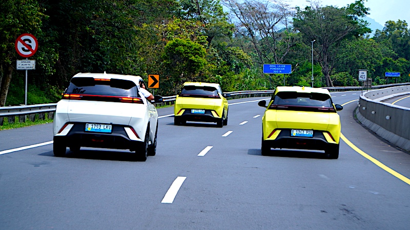 Wall Charger BYD Atto 1