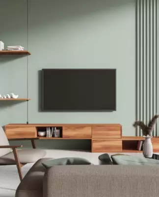 televisi