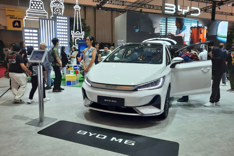 byd m6