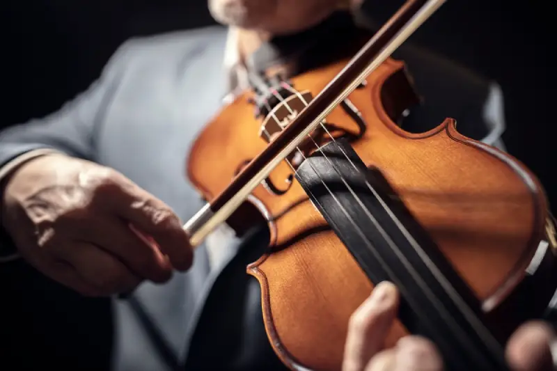 Alat musik biola