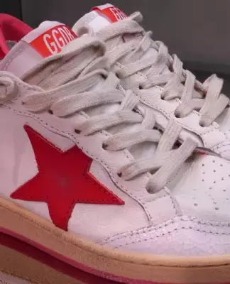 Golden Goose