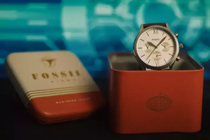 Jam Tangan Fossil Pria