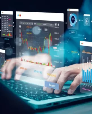 data analyst