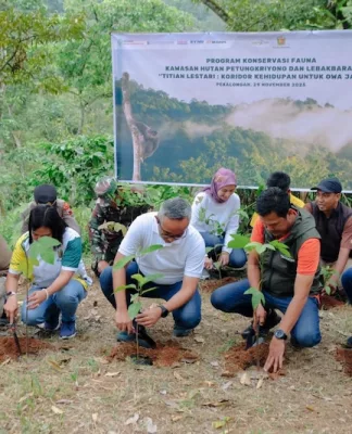 Yayasan AHM Owa Jawa