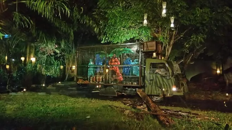 Safari Malam Taman Safari Bogor Semakin Meriah Selama Libur Nataru