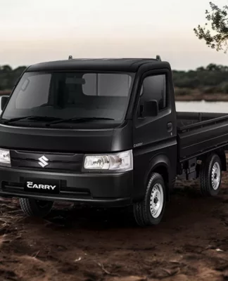 review new carry pick up