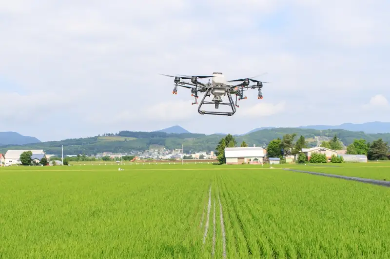 drone pertanian