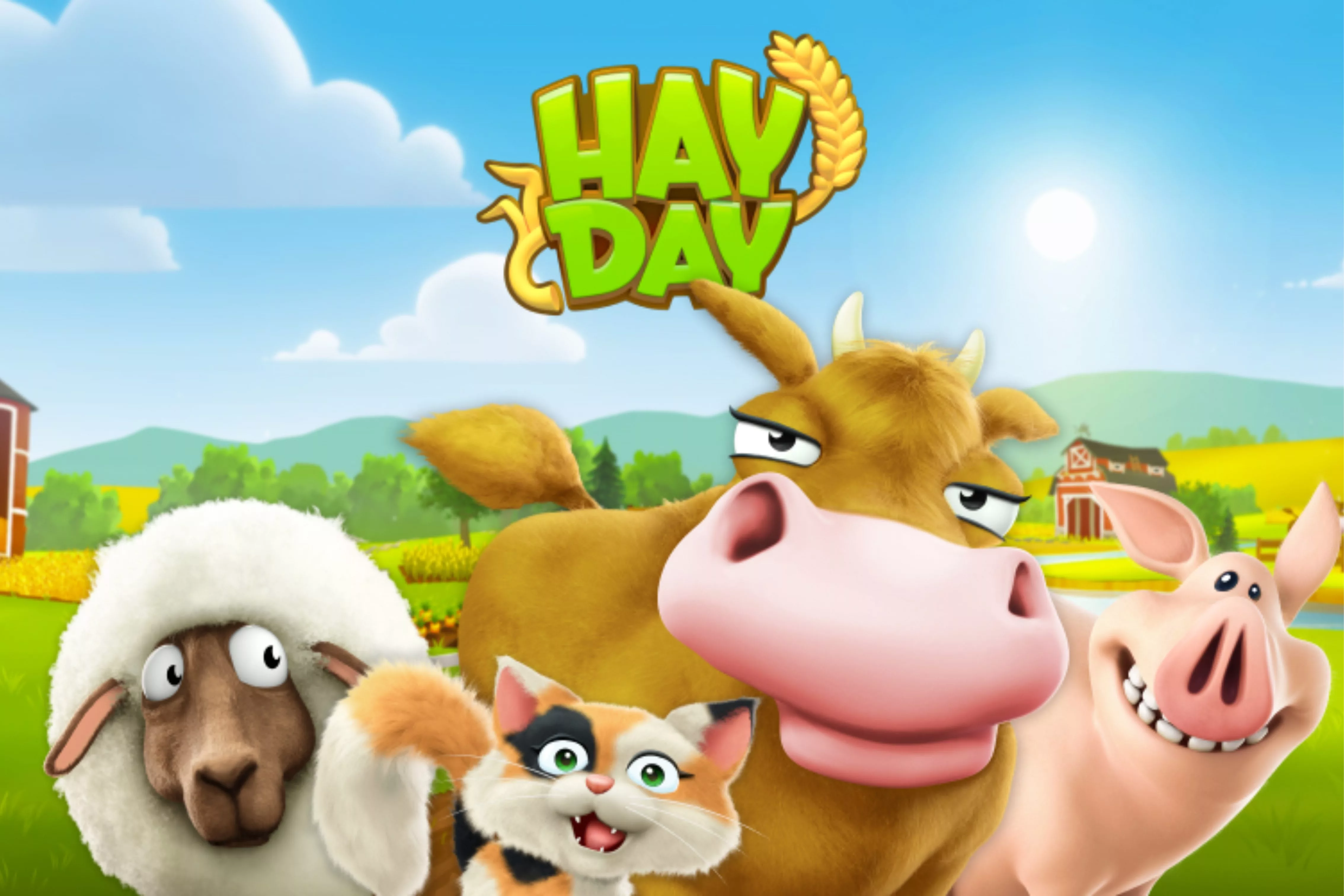 hay-day
