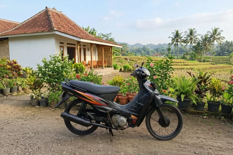 Shogun Kebo Harganya Makin Gelap di Kalangan Kolektor, Seberapa Kencang Larinya?
